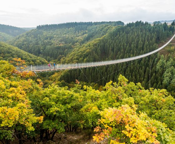 Geyerlay Brücke mit zwei Wanderern und viel Natur und Wald